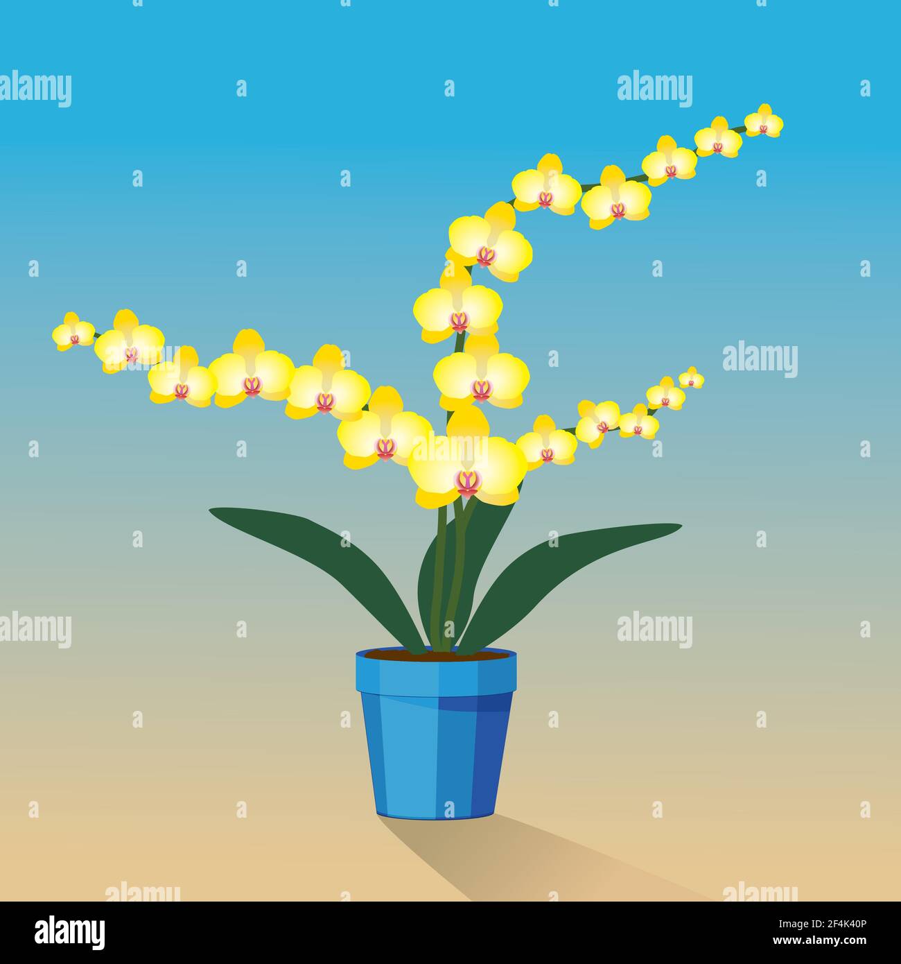 Una pianta gialla di Orchidelle in una pentola blu Illustrazione Vettoriale
