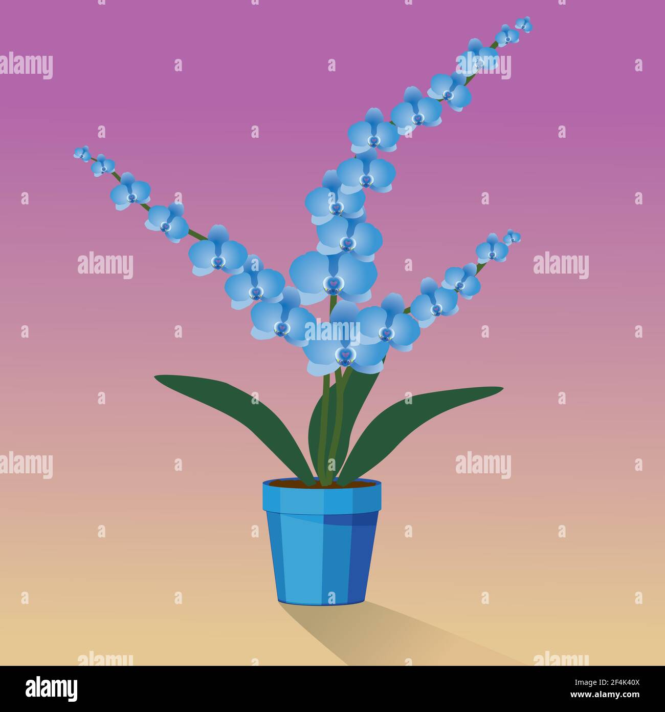 Una pianta di Orchidelle blu in una pentola blu Illustrazione Vettoriale