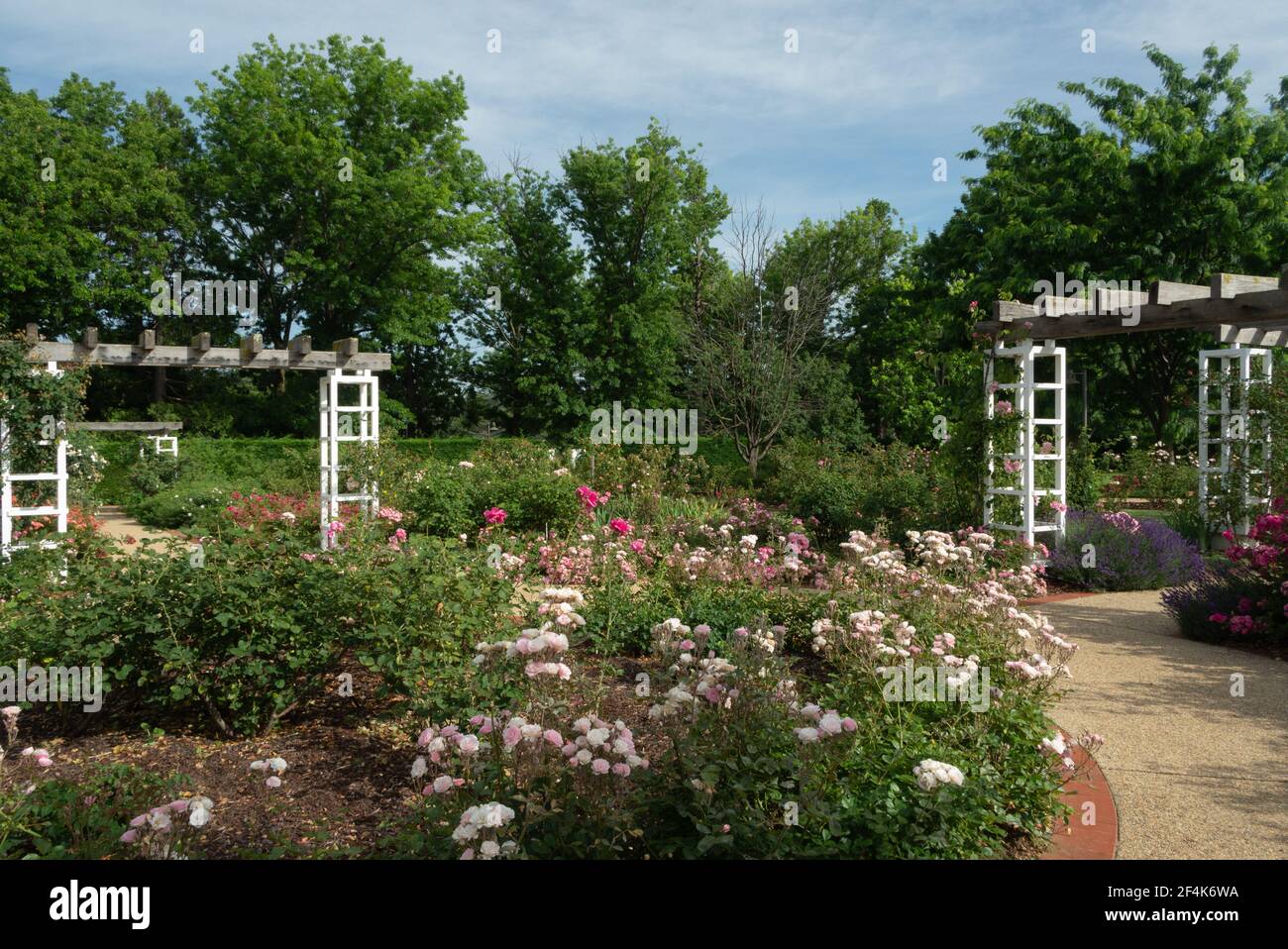 Rose Garden Old Parliament House Canberra Round giardino letto Foto Stock