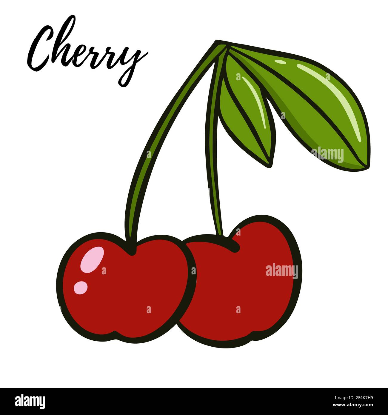 Ciliegie con foglie. Due bacche di borgogna mature su un ramo con foglie. Vettore. Primo piano delle bacche da giardino. Illustrazione Vettoriale