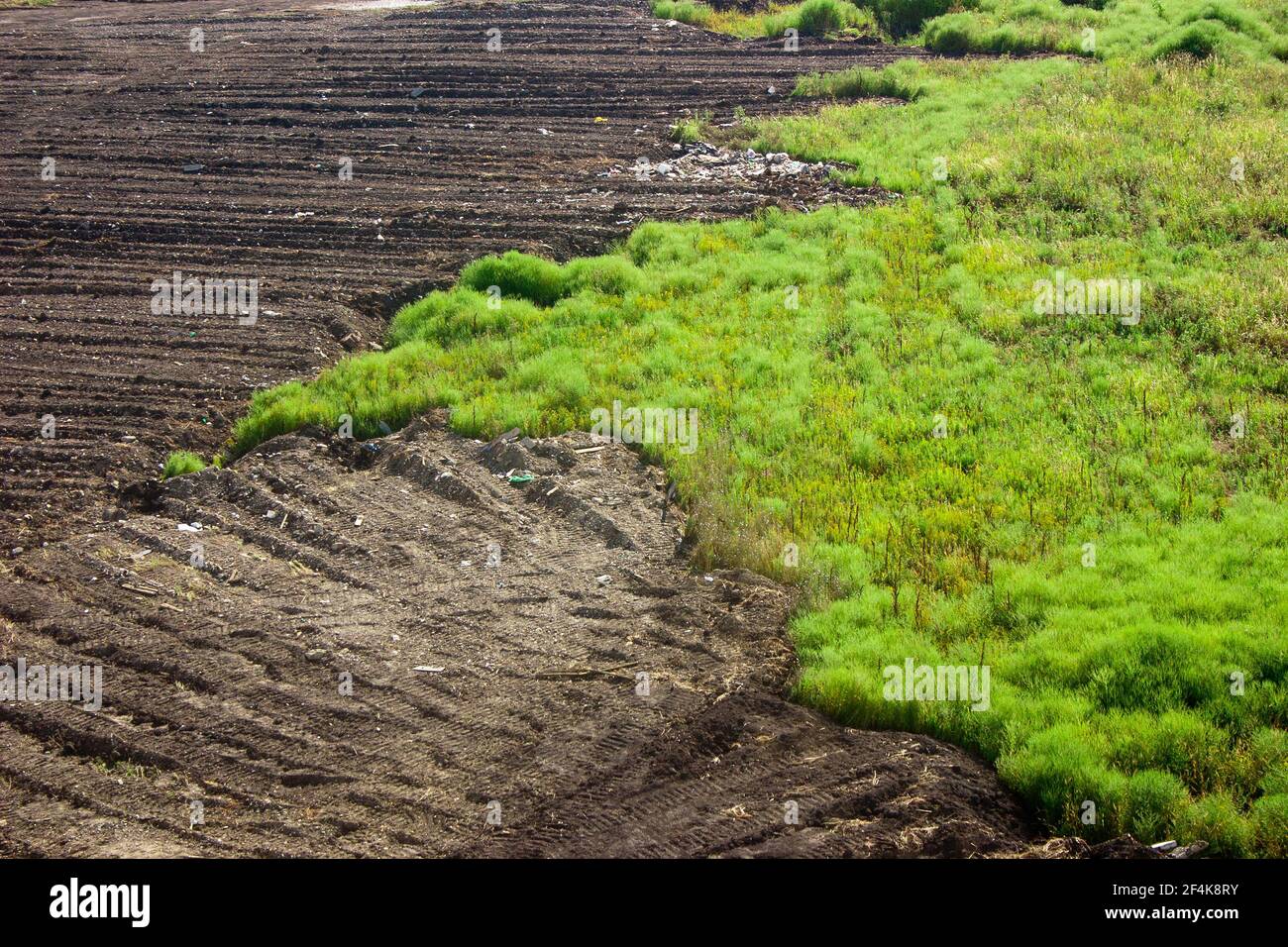 Frammento del cantiere. Lavori di preparazione del sito. Contrasto tra vegetazione verde e terreno pianeggiante Foto Stock