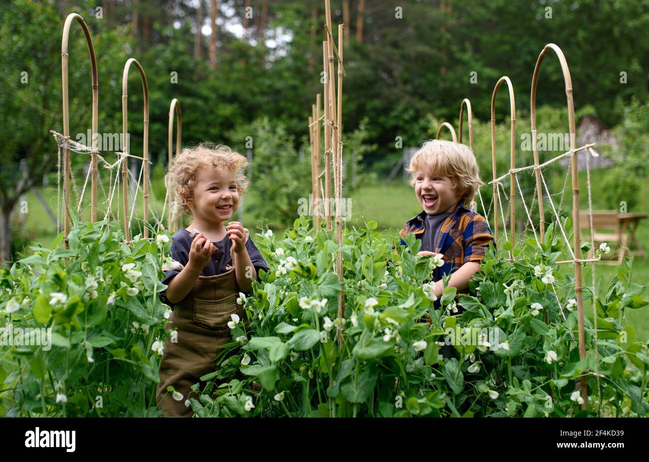 Ritratto di due bambini piccoli in orto, stile di vita sostenibile. Foto Stock
