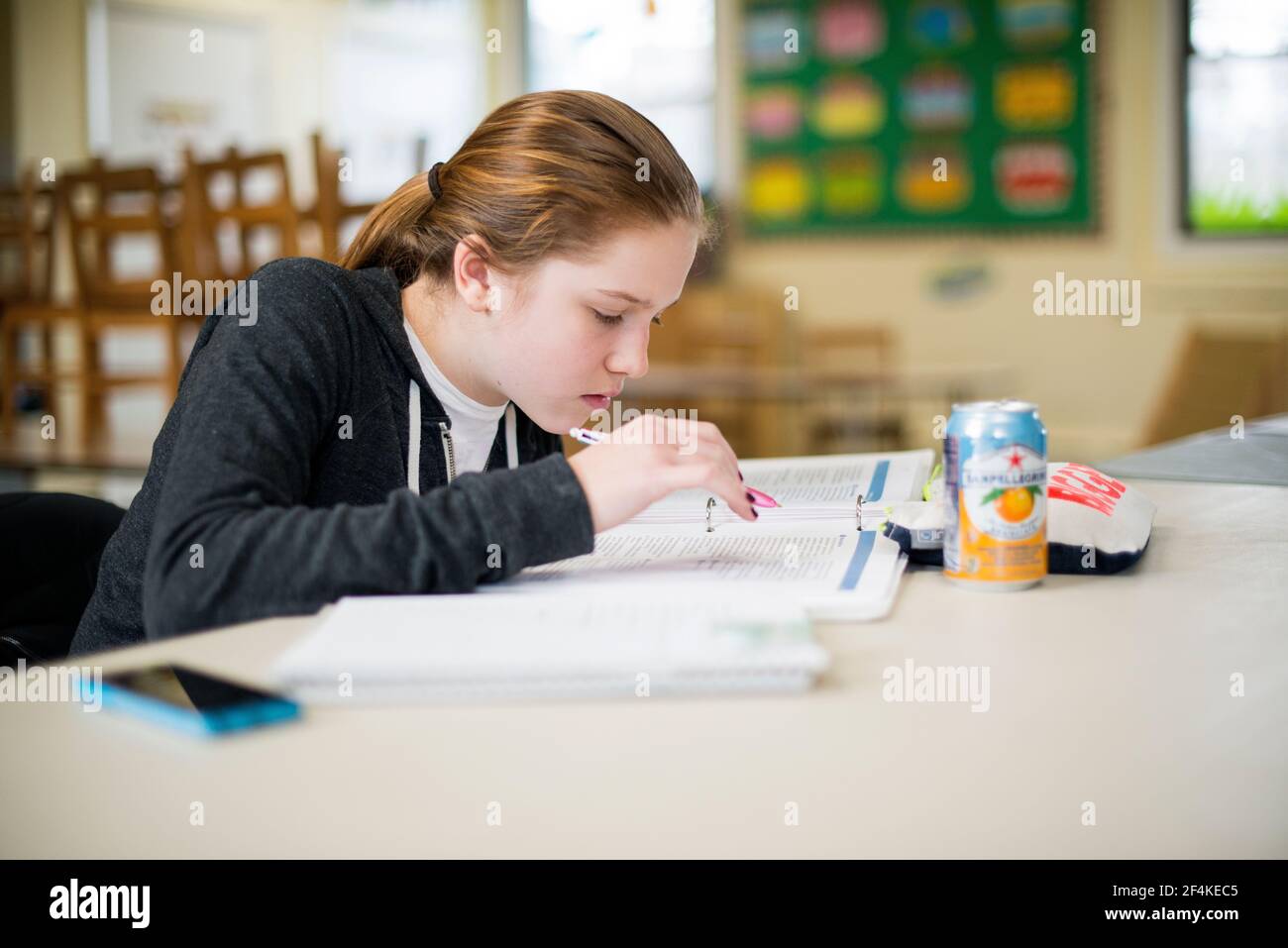 Harrison, New York, Stati Uniti. Studente presso la Scuola di lingua olandese & culte che lavora per l'assegnazione di het. Foto Stock