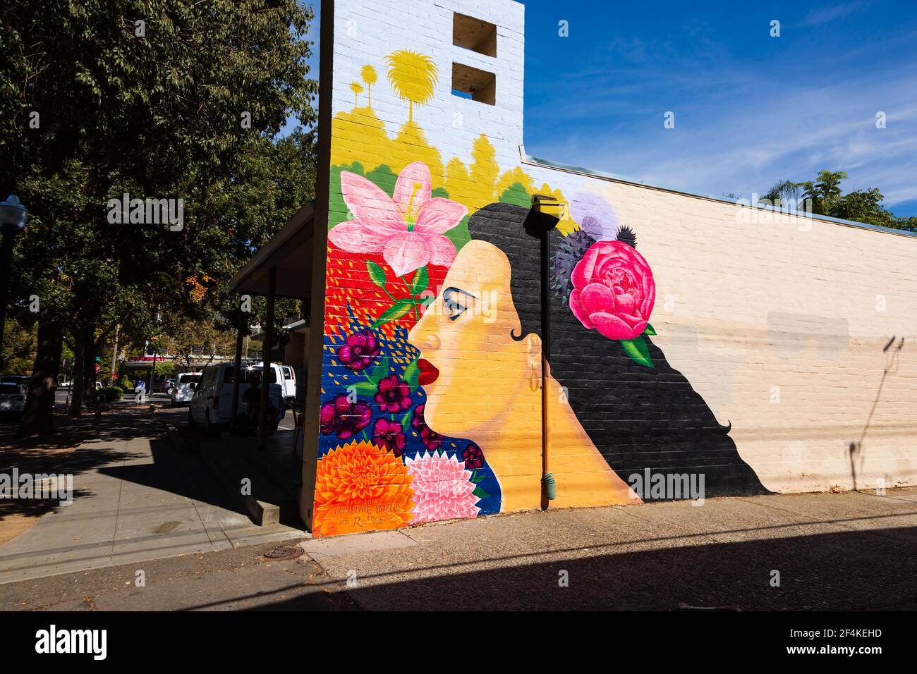 Graffiti sul lato di un edificio. Sacramento, capitale dello stato della California, Stati Uniti d'America. Foto Stock