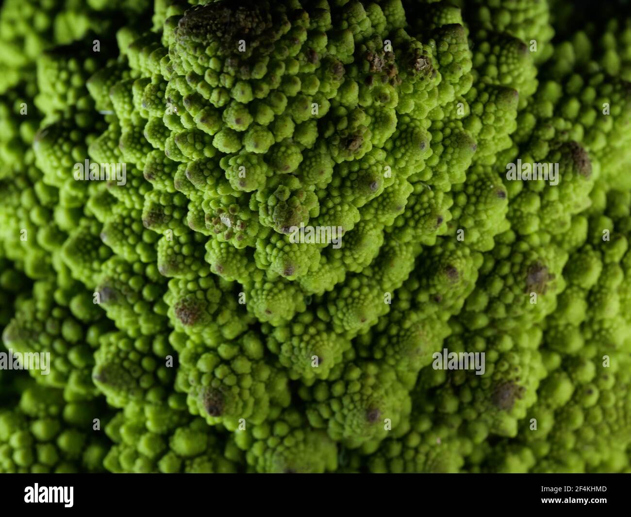 Romanesco cavoli broccoli (o cavolo romano) Foto Stock