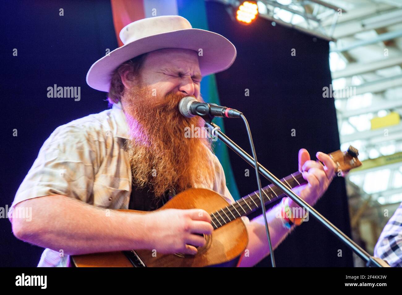 Tilburg, Paesi Bassi. Il cantante e chitarrista della contea americana Willy Tea Taylor si esibisce sul palco del Festival Mundial 2016. Foto Stock