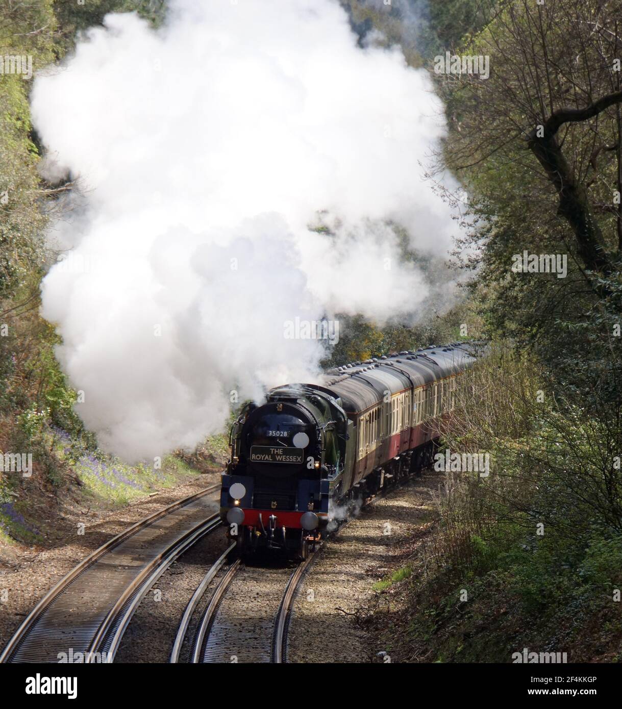 Locomotiva a vapore numero 35028 Clan Line su una linea principale speciale treno vicino Bournemouth Foto Stock