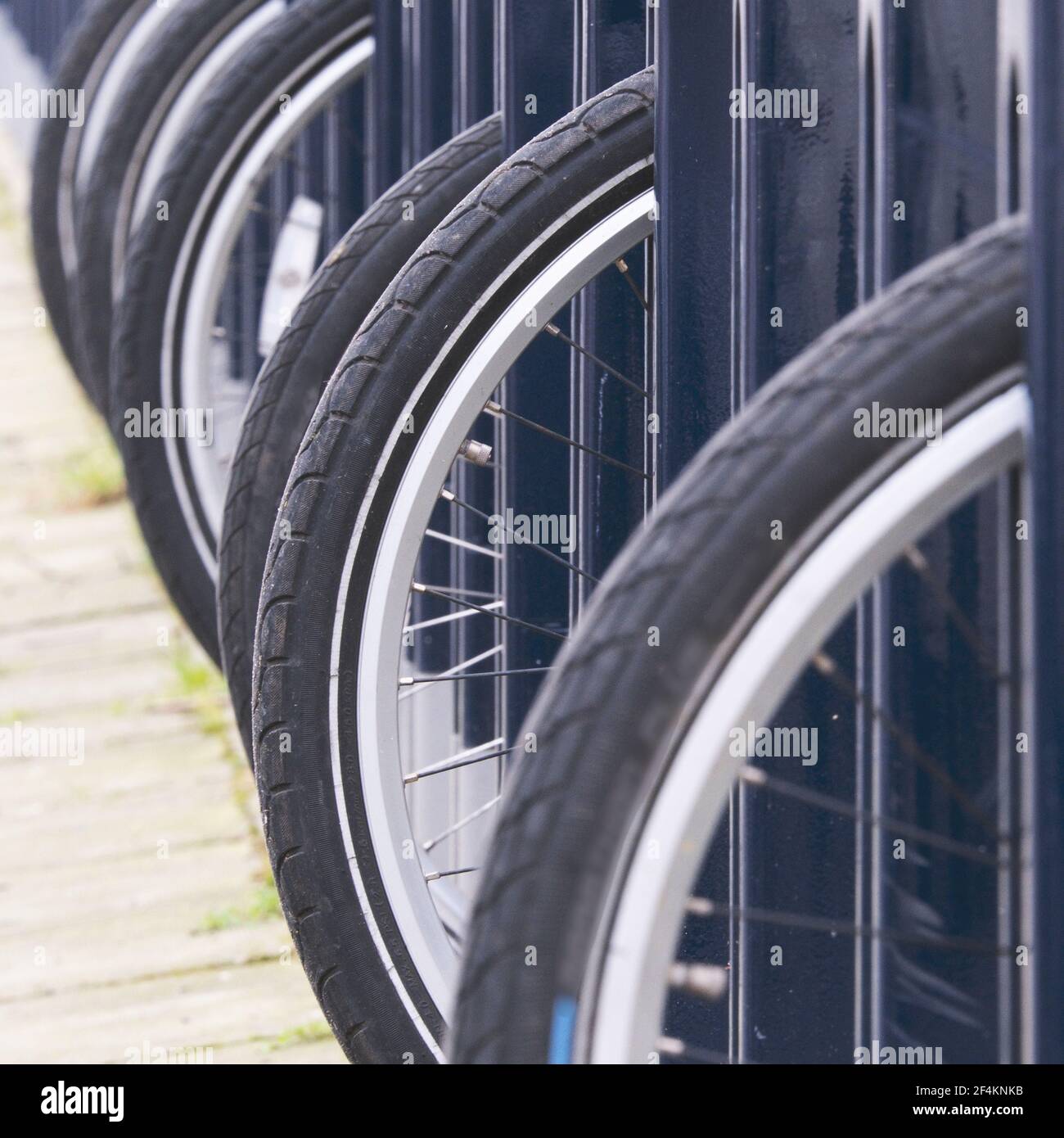 Primo piano di noleggio biciclette in uno stand a Londra, Regno Unito Foto Stock