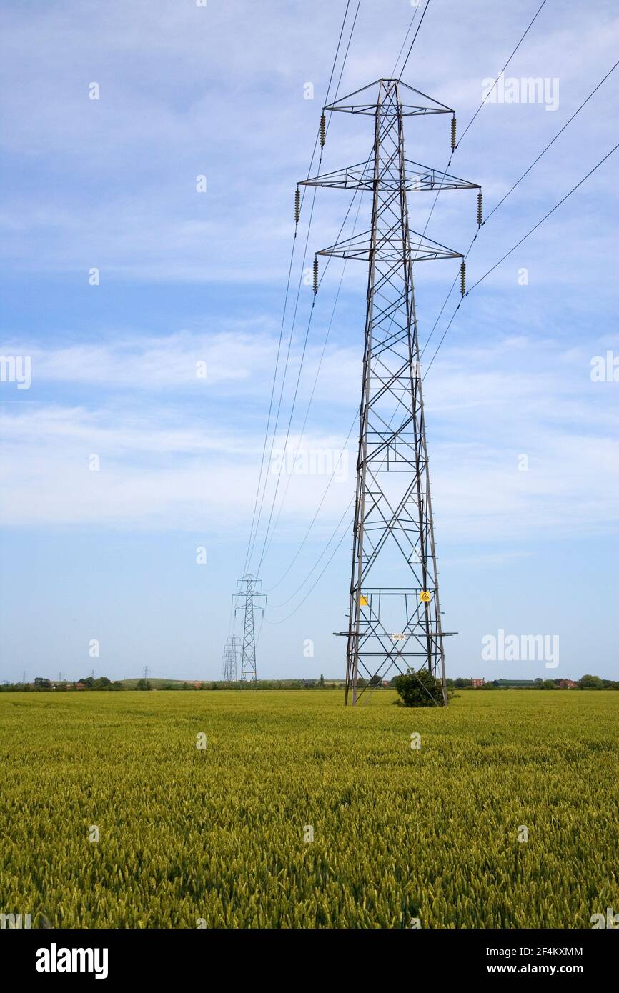 Tralicci di distribuzione dell'energia elettrica nei terreni agricoli del Lincolnshire Foto Stock