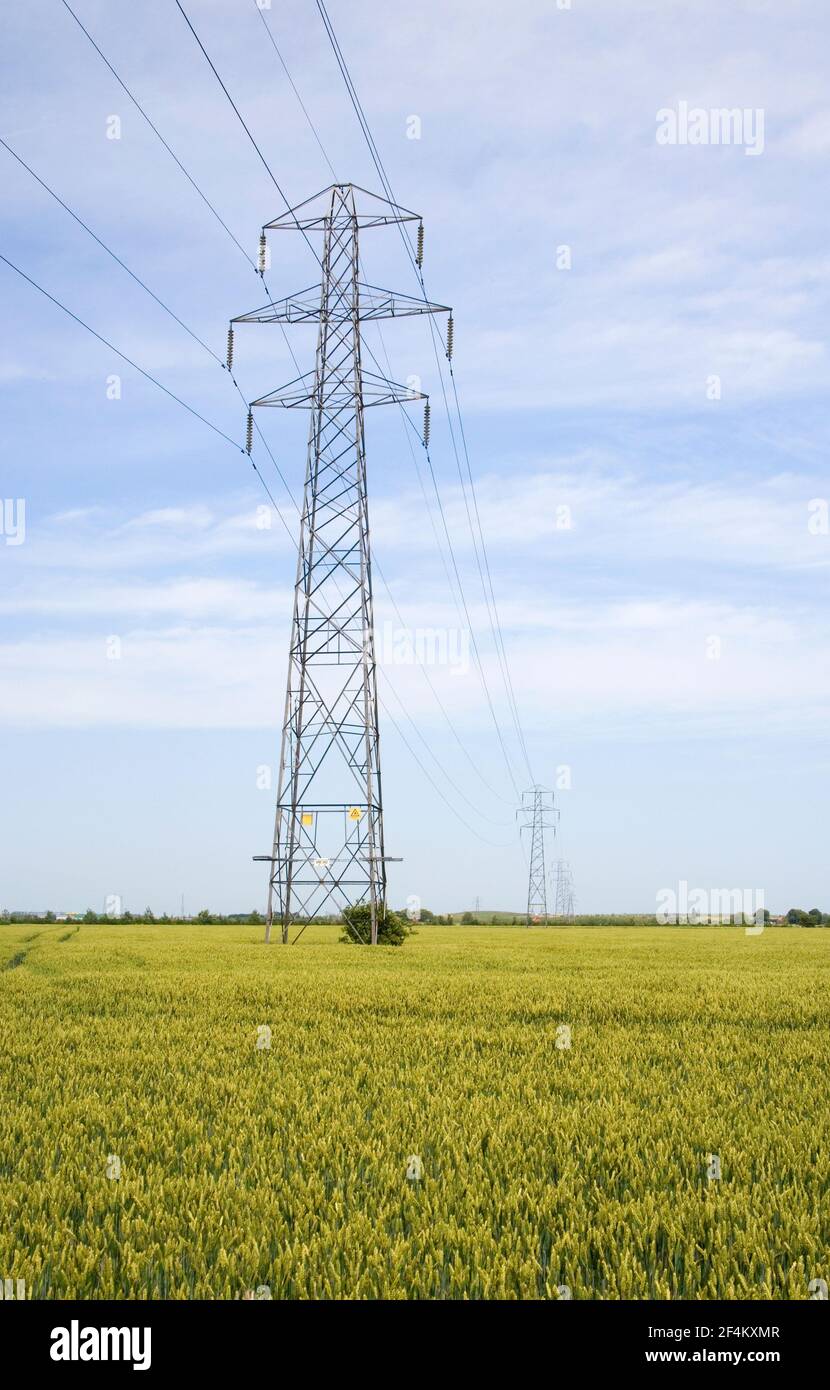 Tralicci di distribuzione dell'energia elettrica nei terreni agricoli del Lincolnshire Foto Stock