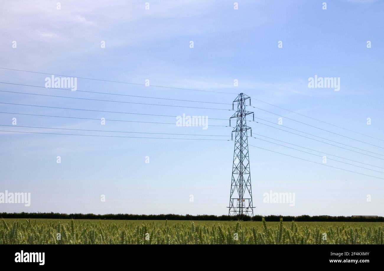 Tralicci di distribuzione dell'energia elettrica nei terreni agricoli del Lincolnshire Foto Stock