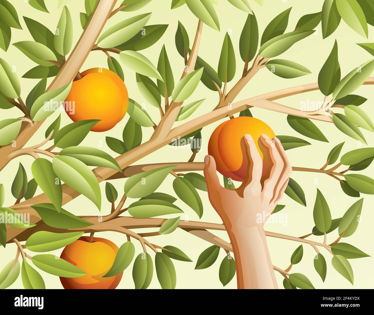Colori pastello. Una mano raccoglie la frutta. Illustrazione vettoriale Illustrazione Vettoriale