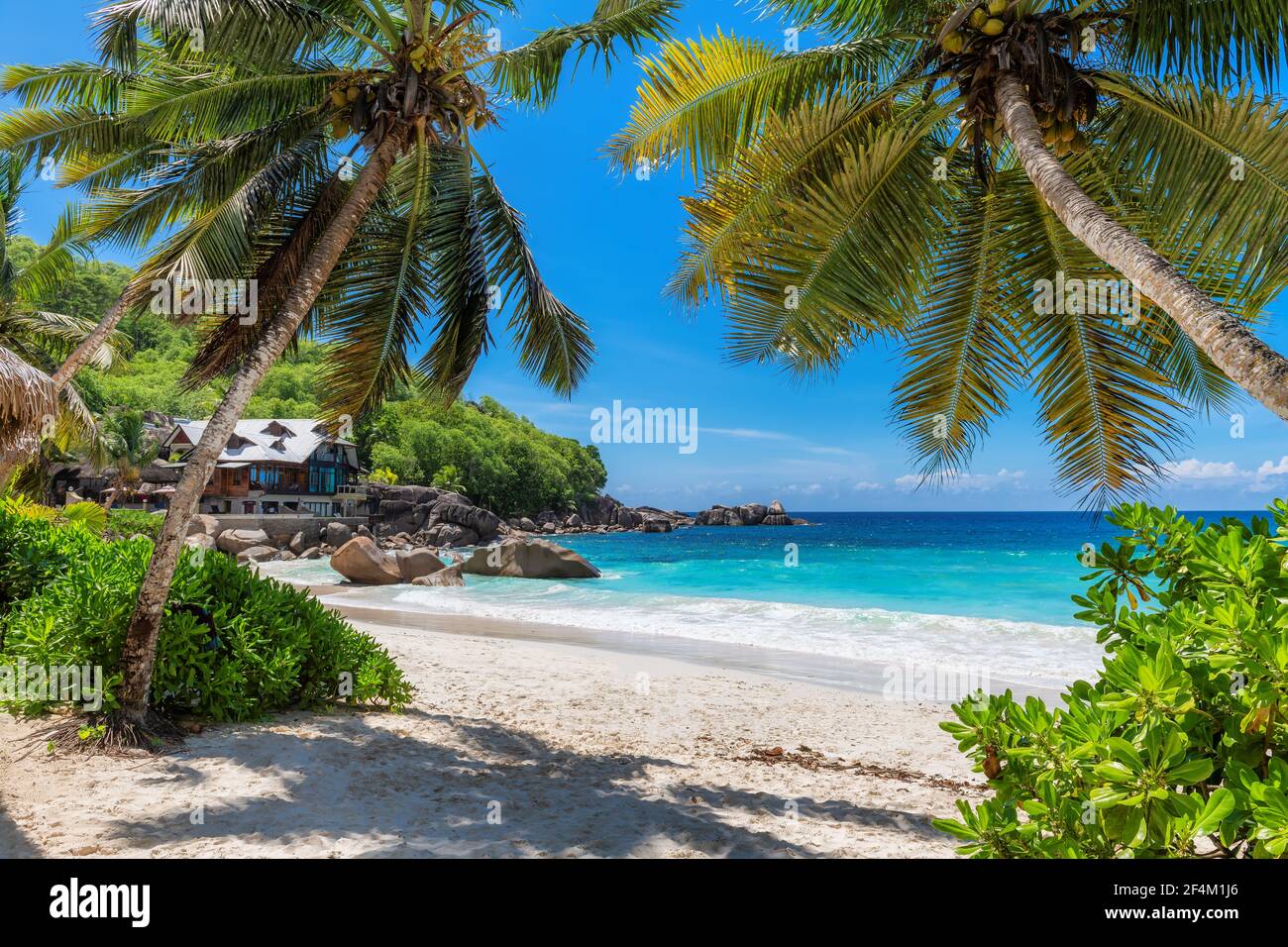 Coco palme sulla splendida spiaggia soleggiata e resort tropicale. Vacanza estiva e concetto di spiaggia tropicale. Foto Stock