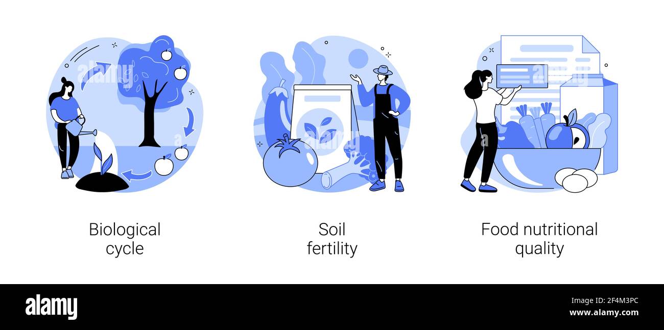 Illustrazioni vettoriali astratte di concetto di agricoltura organica. Illustrazione Vettoriale