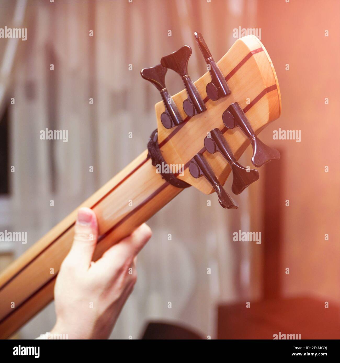 La mano del chitarrista sul collo di una chitarra basso a sei corde. Vista posteriore Foto Stock