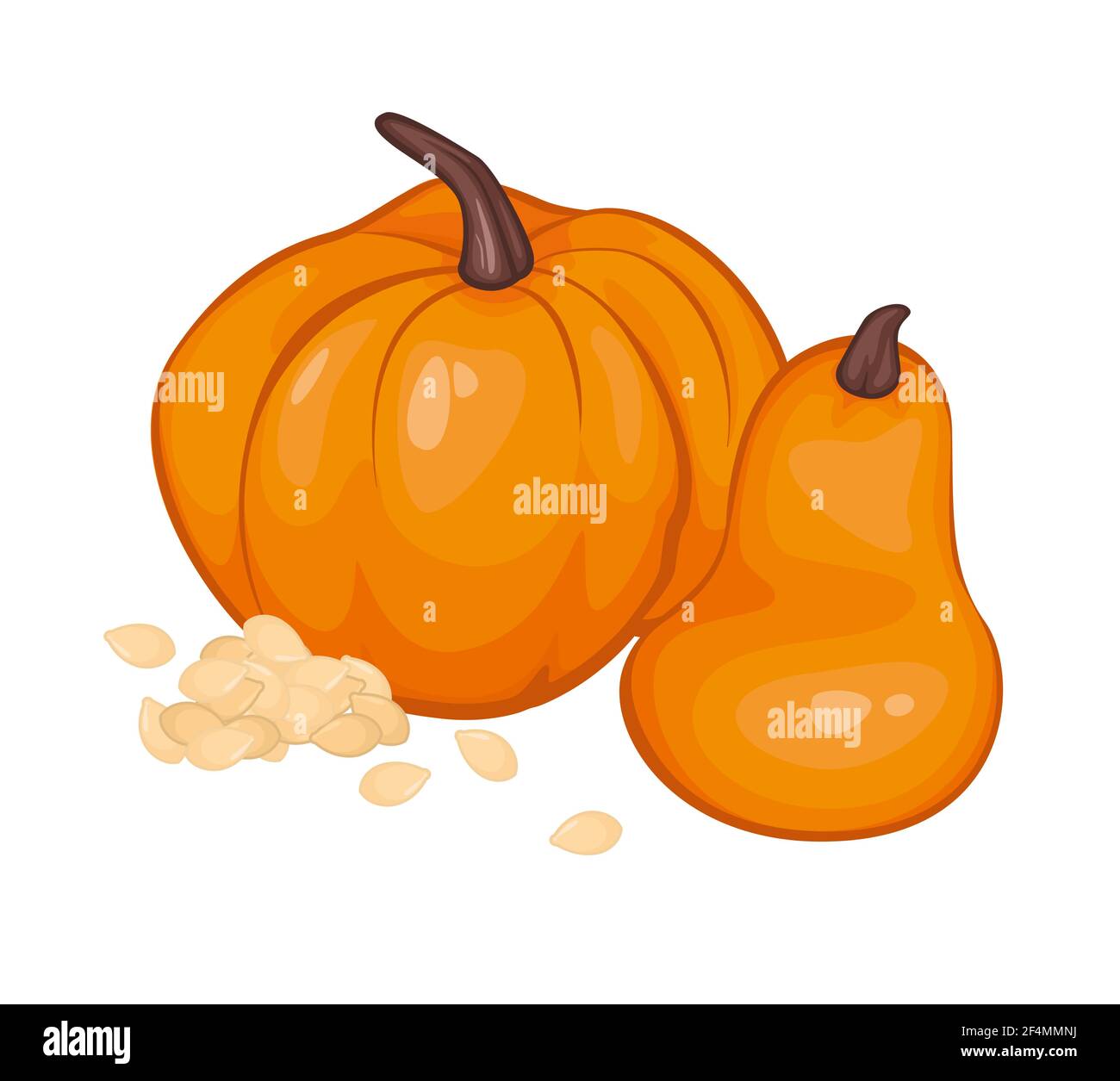 Zucche in cartone con semi di zucca. Oggetto isolato. Vettore illustrazione.vegetali dalla fattoria. Cibo biologico. Illustrazione Vettoriale