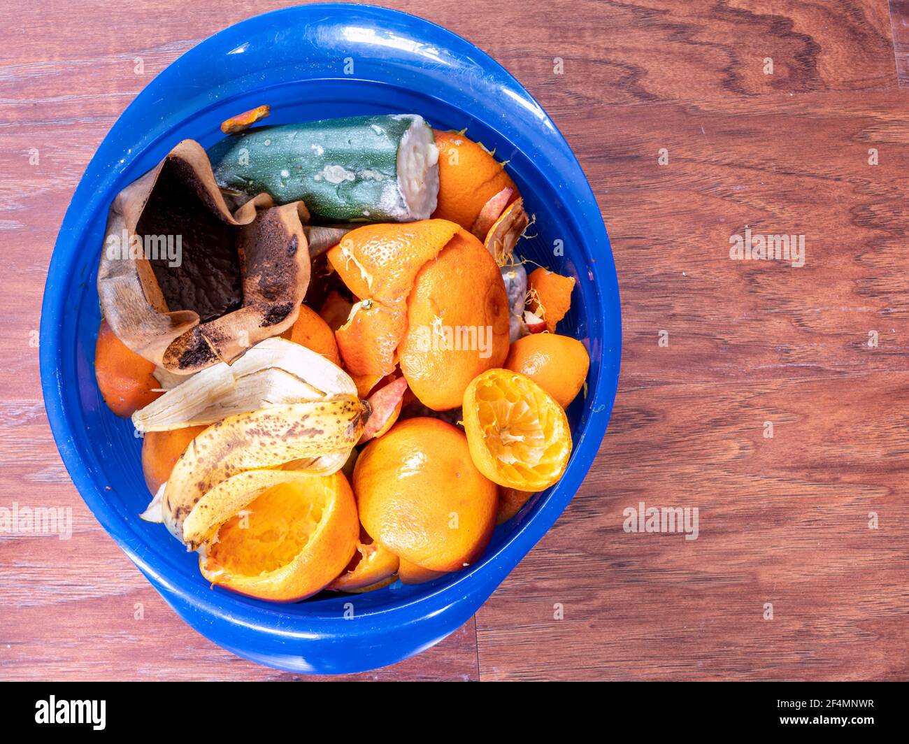 Rifiuti biologici isolati su un pavimento in legno Foto Stock