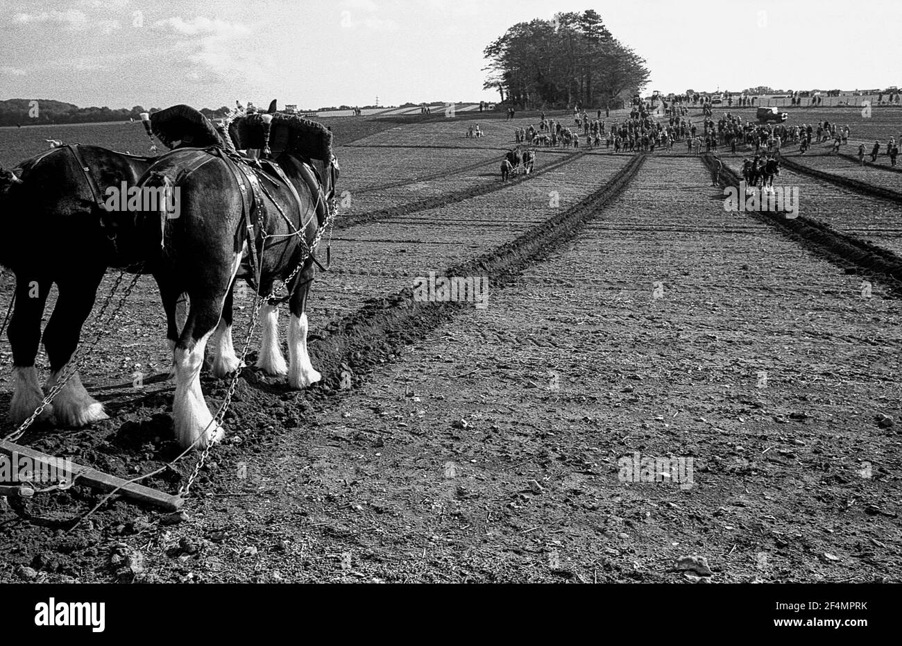 East Kent Ladies Powing Competition with Horses. Mostra campo arato Foto Stock