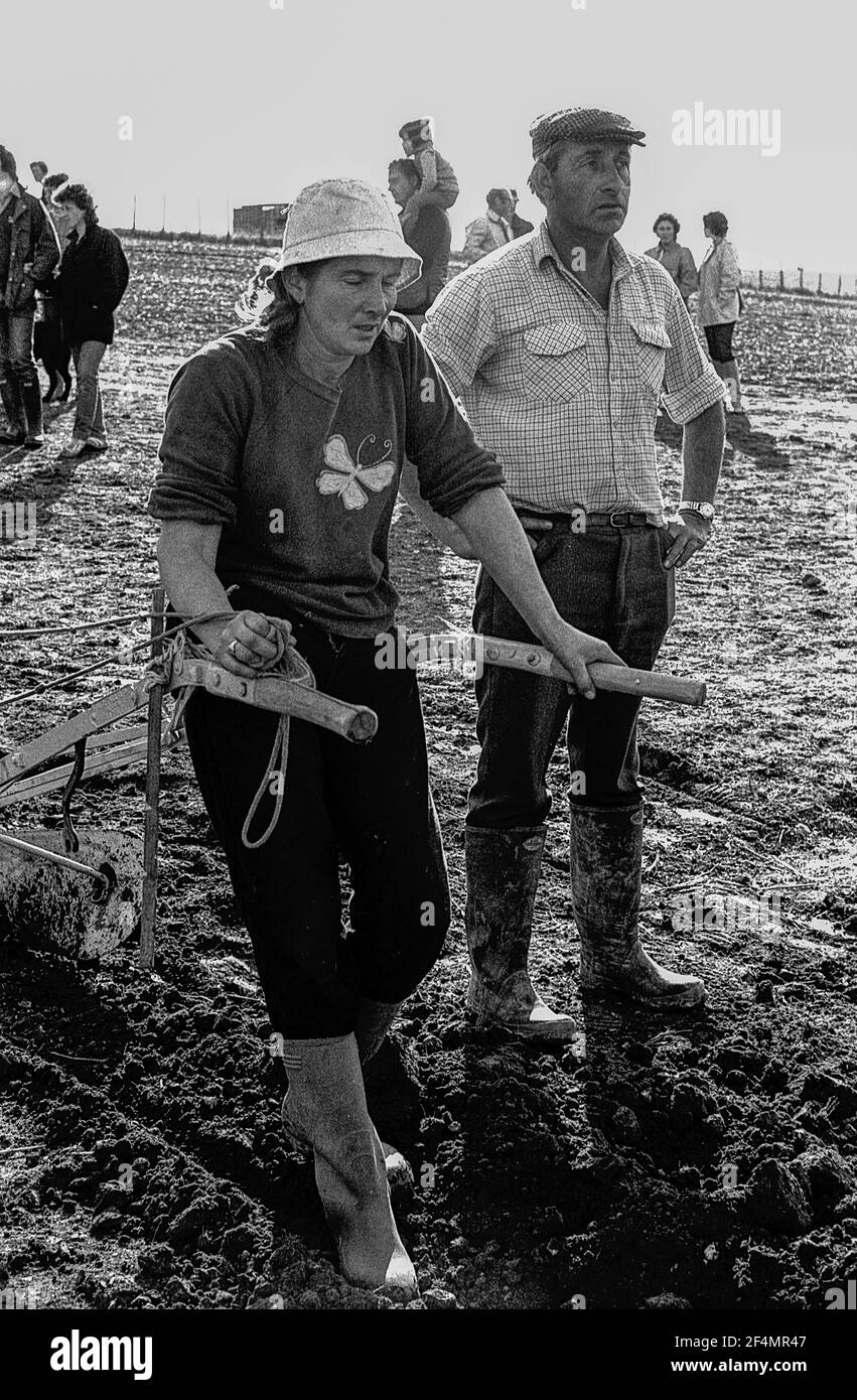 East Kent Ladies Powing Competition with Horses. Donna che riposa sull'aratro Giudice che ispeziona il solco Foto Stock