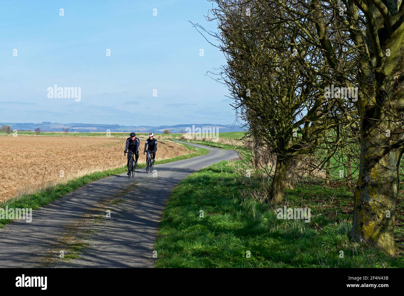 Ciclisti sul Trans Pennine Trail a Faxfleet, East Yorkshire, Inghilterra Regno Unito Foto Stock
