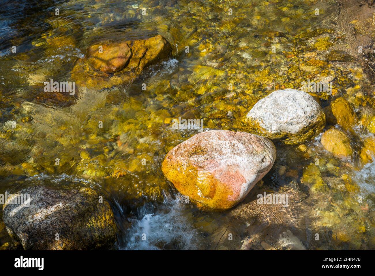 Pietre nel fiume. Foto Stock