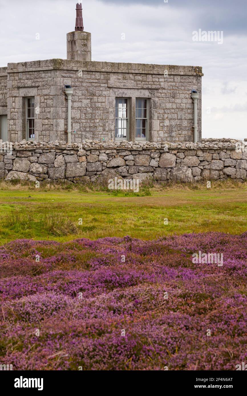 Tibbetts, precedentemente Admiralty Lookout post, con erica e bracken su Lundy Island, Devon, Inghilterra Regno Unito nel mese di agosto Foto Stock