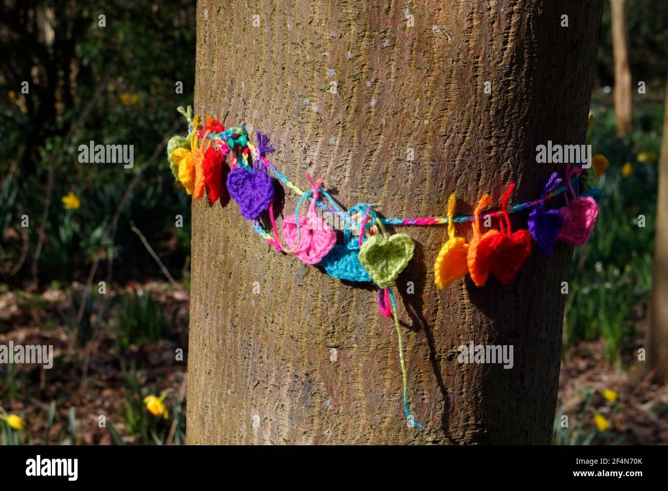 Decorazioni colorate a forma di cuore in lana lavorata a maglia intorno al  tronco dell'albero Foto stock - Alamy