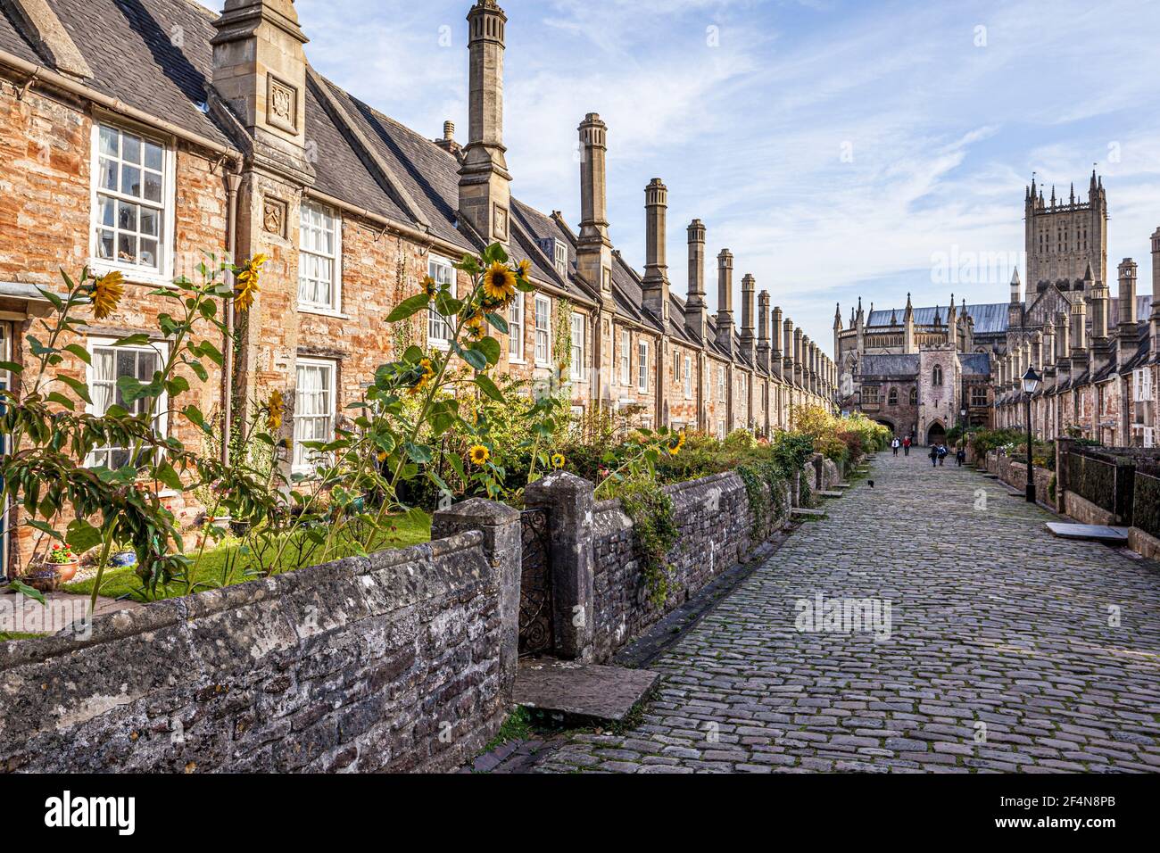 Vicars Vicino nella città cattedrale di Wells, Somerset UK - UNA strada pianificata della metà del XIV secolo. Foto Stock