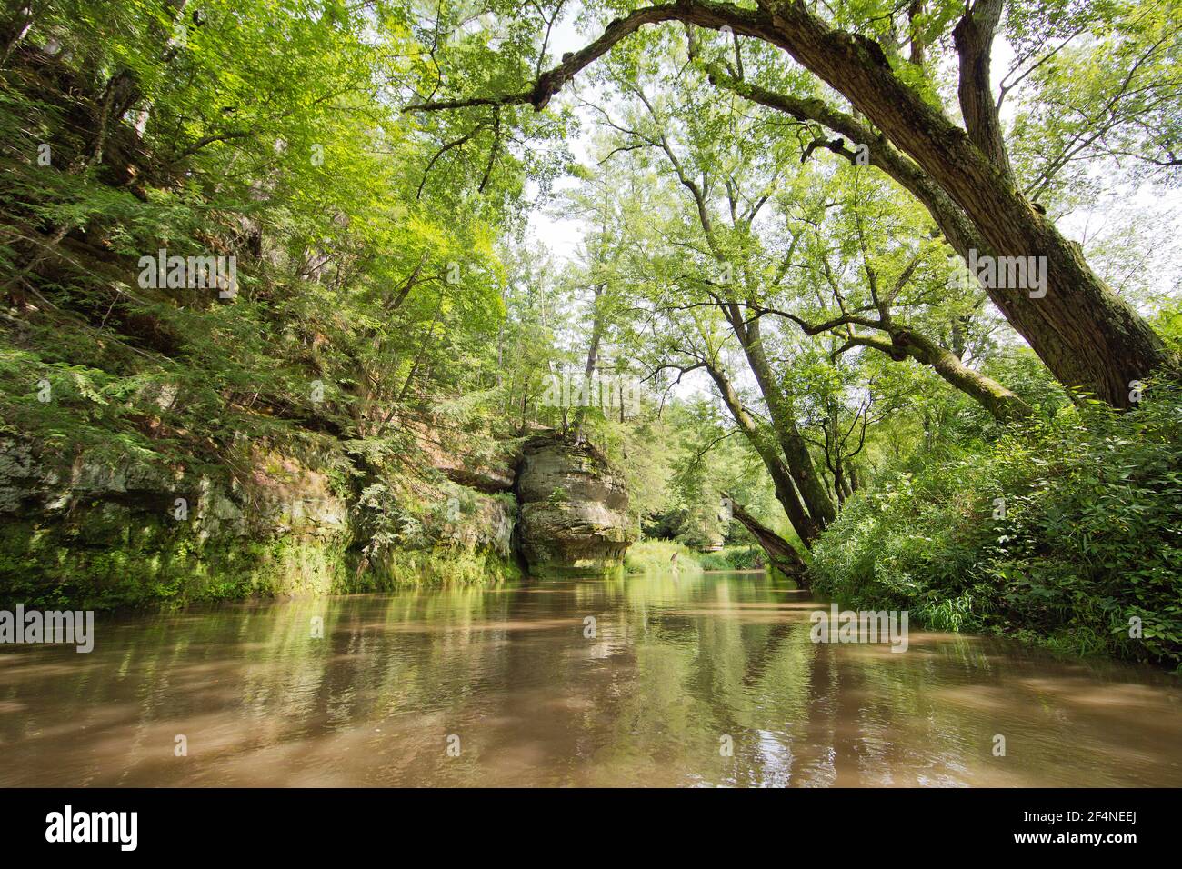 Fiume Kickapoo, zona senza conducente, Wisconsin, Stati Uniti Foto Stock