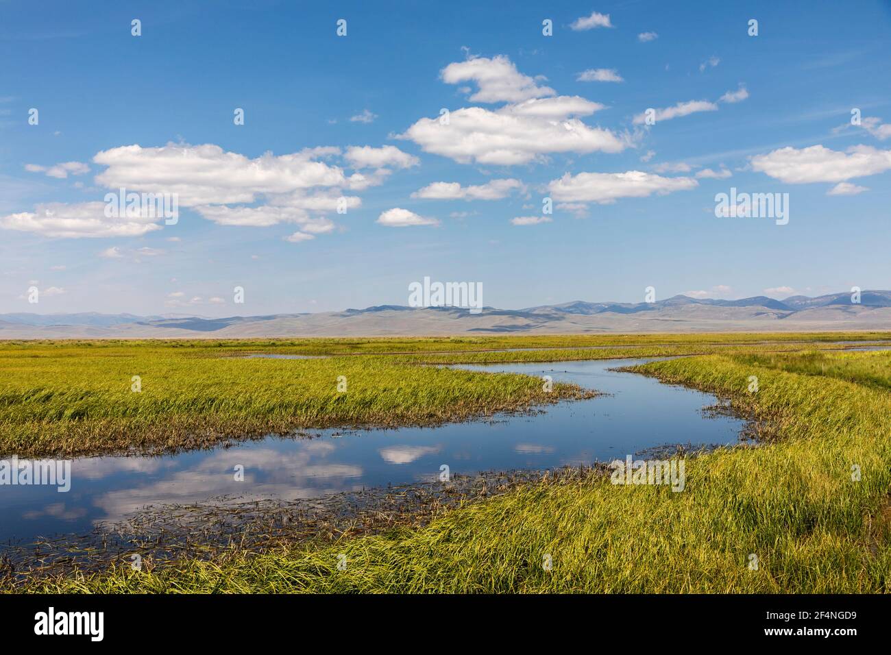 Wetlands, Red Rock Lakes National Wildlife Refuge, Montana, Stati Uniti Foto Stock