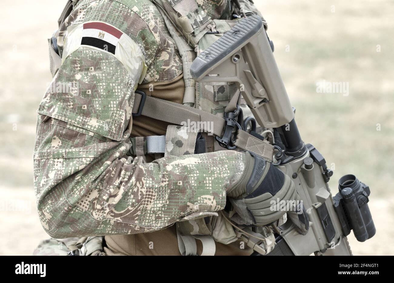 Soldato con fucile d'assalto e bandiera dell'Egitto su uniforme militare. Collage. Foto Stock