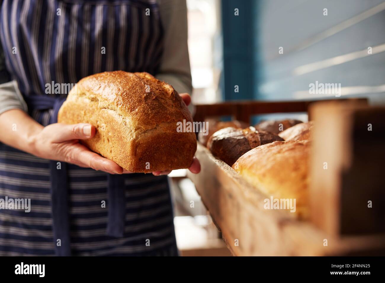 Assistente vendite in panetteria che mette pane di Sourburda biologico appena sfornato Filone in vassoio di legno Foto Stock