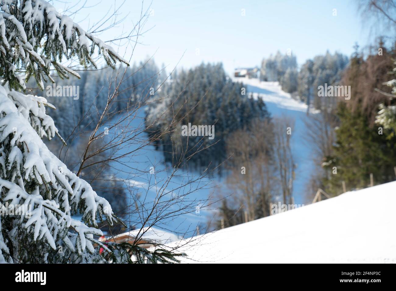 Piste per sport invernali presso il carosello degli impianti di risalita di Winterberg. Pista per slittino e piste da sci tra foreste innevate di abeti. Foto Stock