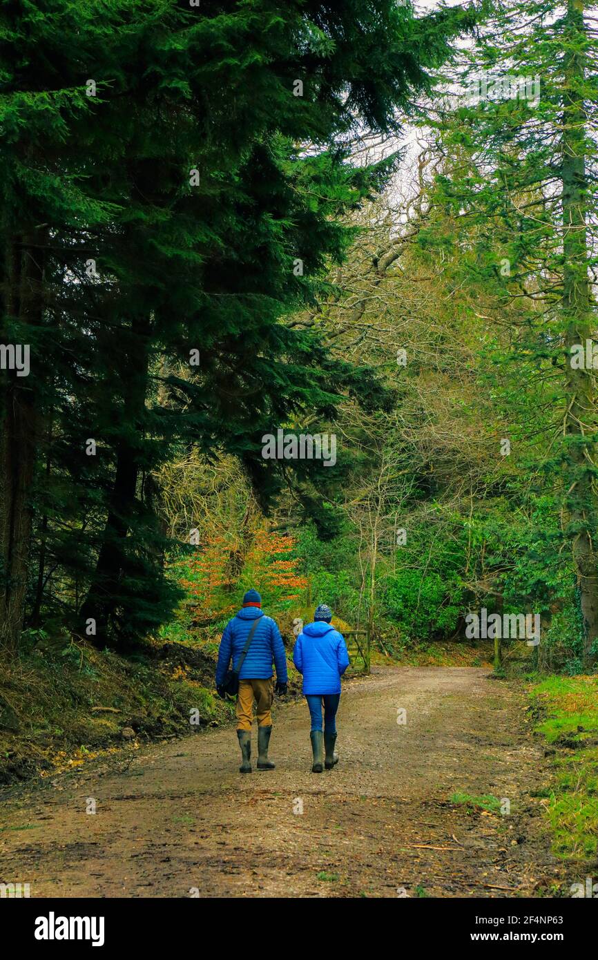 Persone che camminano nella Riserva Naturale locale di Trinity Hill, Devon Foto Stock