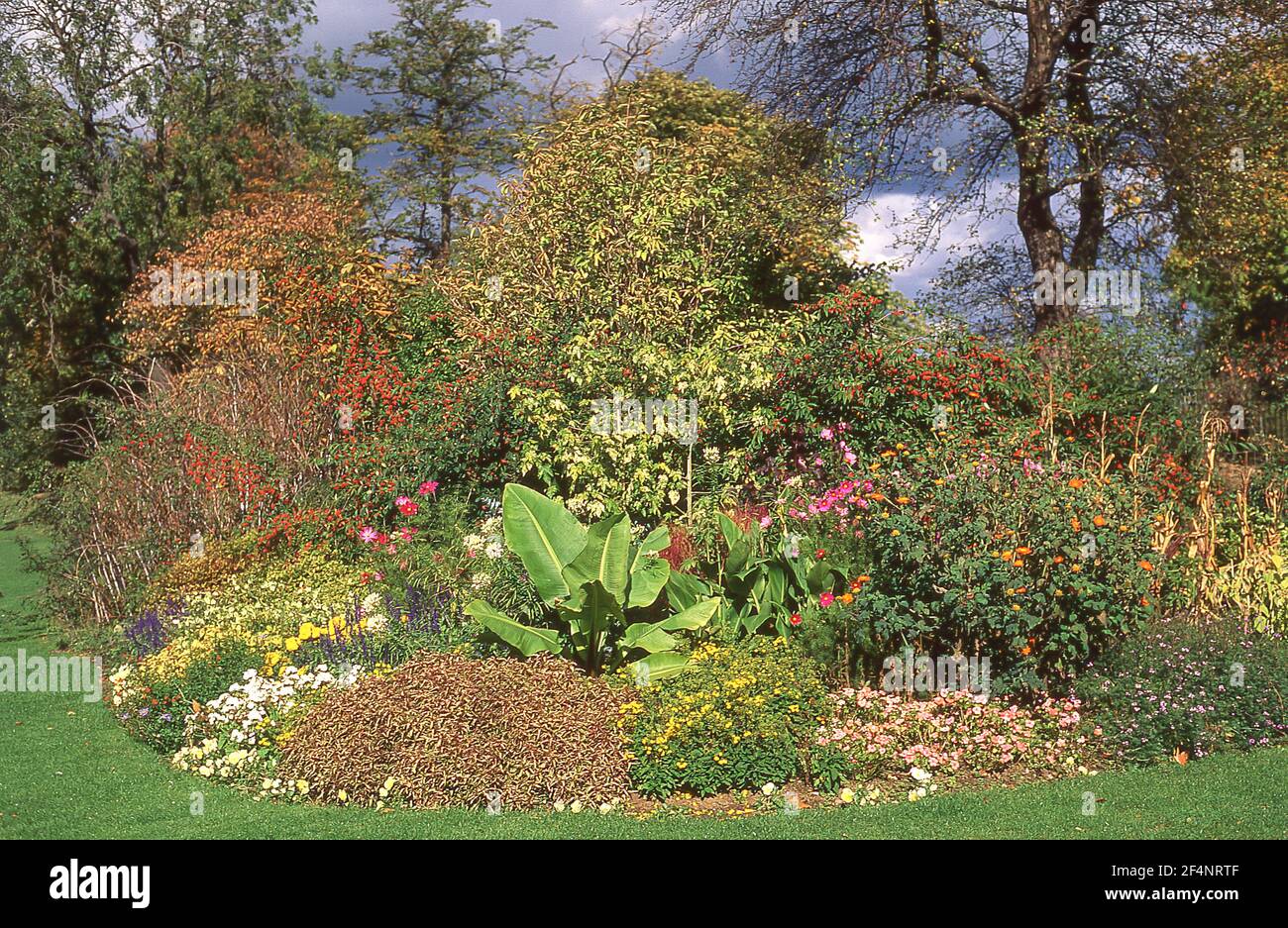 Prato e fiore letto in giardino, Warren Row, Berkshire, Inghilterra, Regno Unito Foto Stock