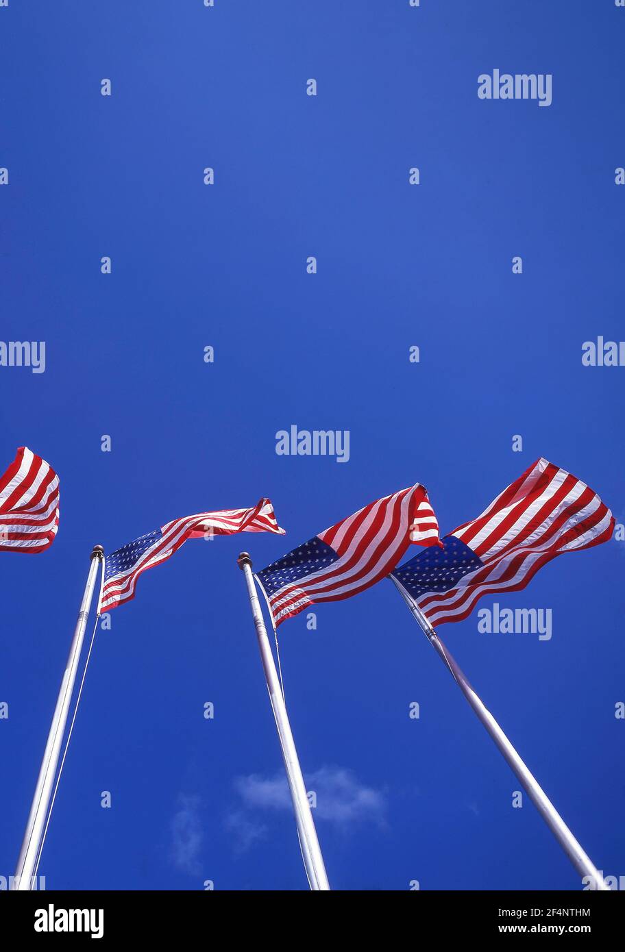 'Stars & Stripes' US Flags, Downtown, Los Angeles, California, Stati Uniti d'America Foto Stock