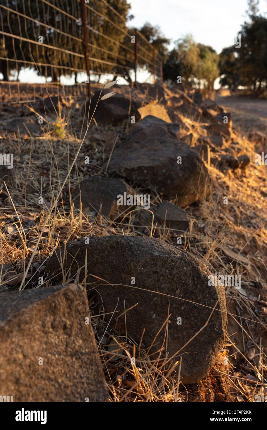 Pietre sulla strada all'ora d'oro nel sud dell'Andalusia, Spagna Foto Stock