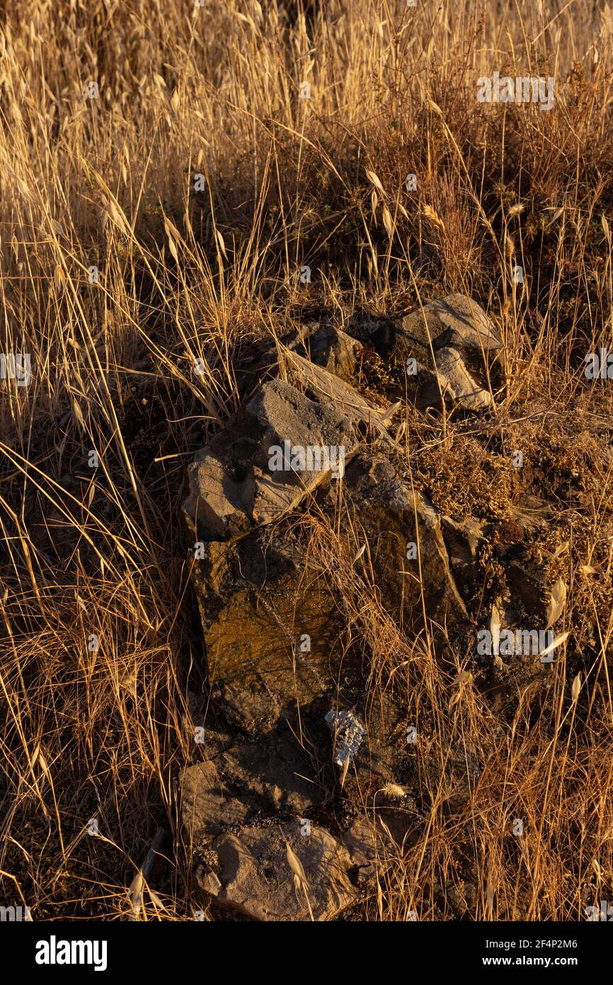 Pietre sulla strada all'ora d'oro nel sud dell'Andalusia, Spagna Foto Stock