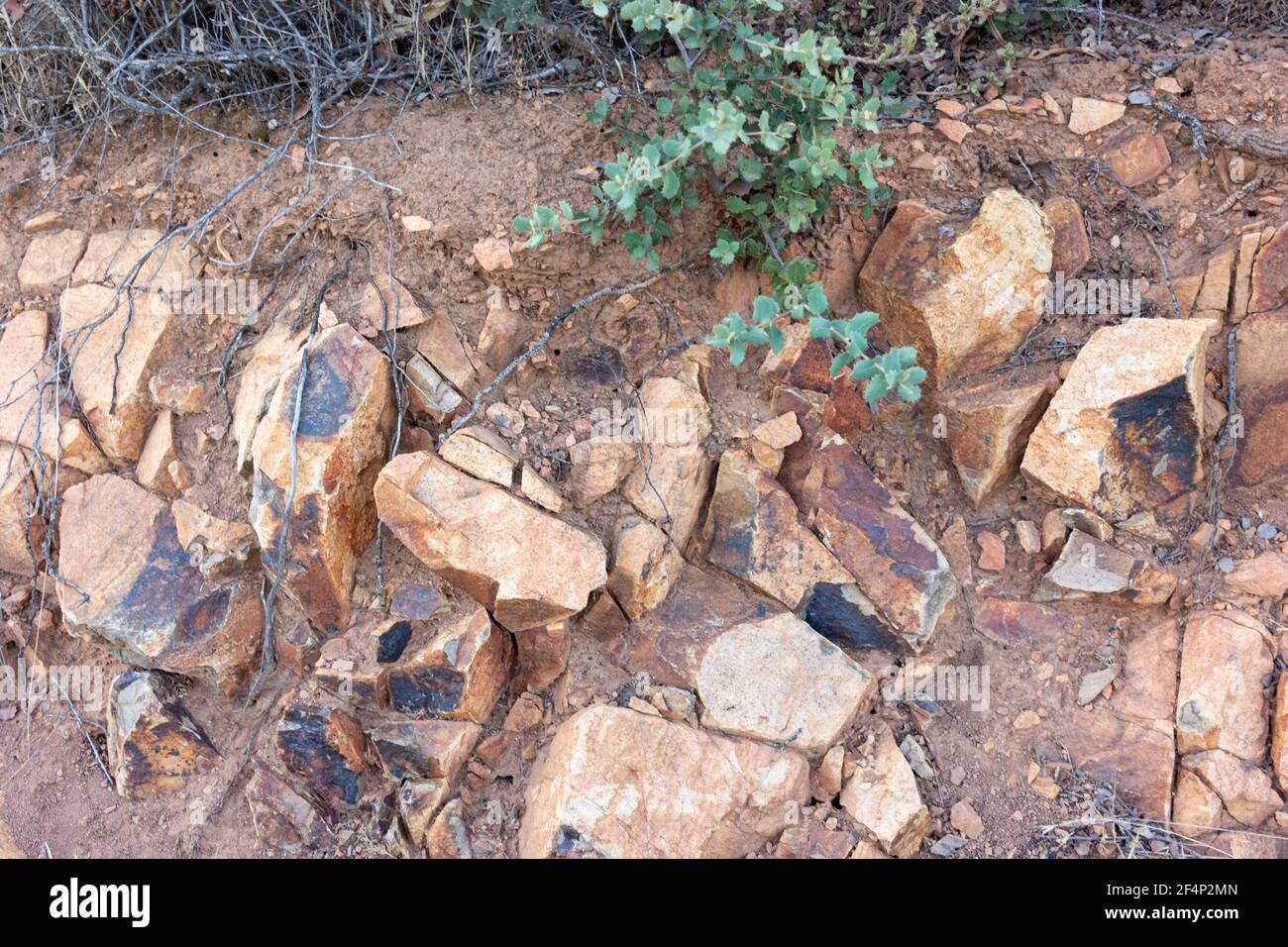 Pietre sulla strada all'ora d'oro nel sud dell'Andalusia, Spagna Foto Stock