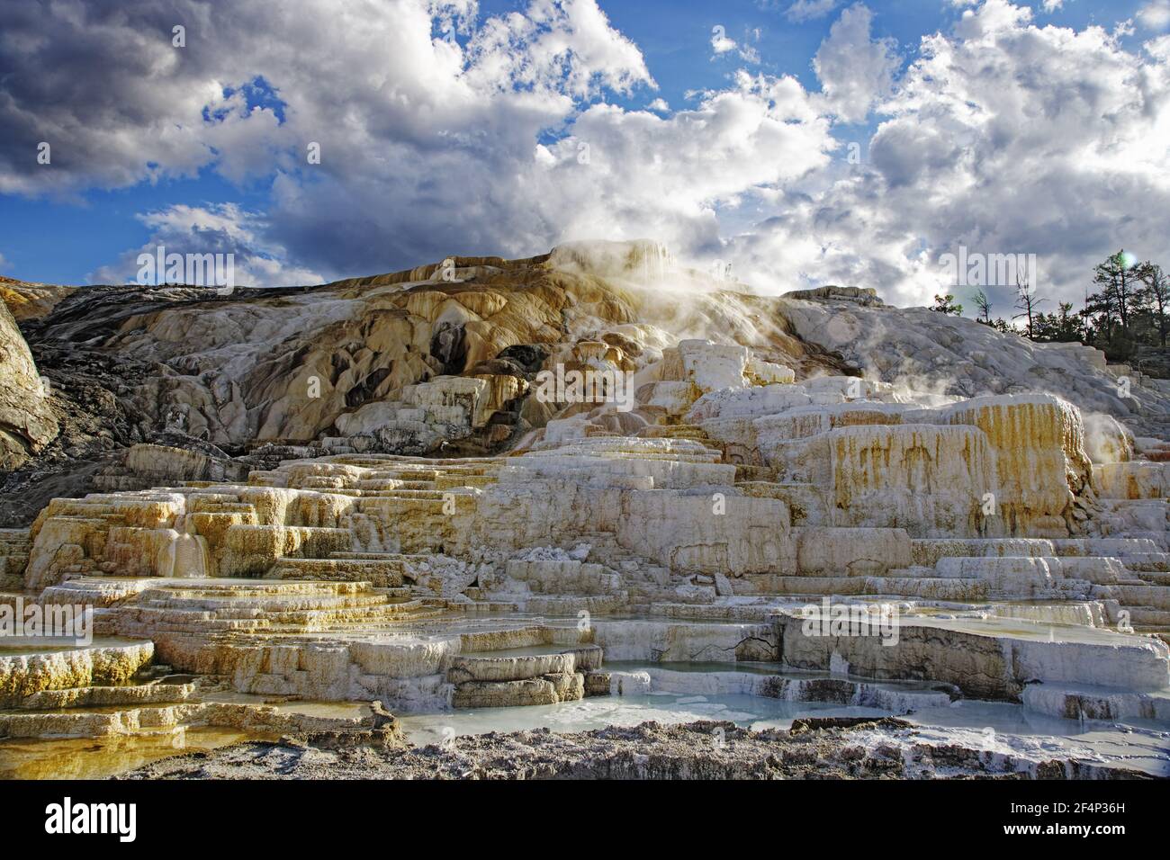 Palette SpringMammoth Springs Yellowstone National Park Wyoming. USA LA006970 Foto Stock