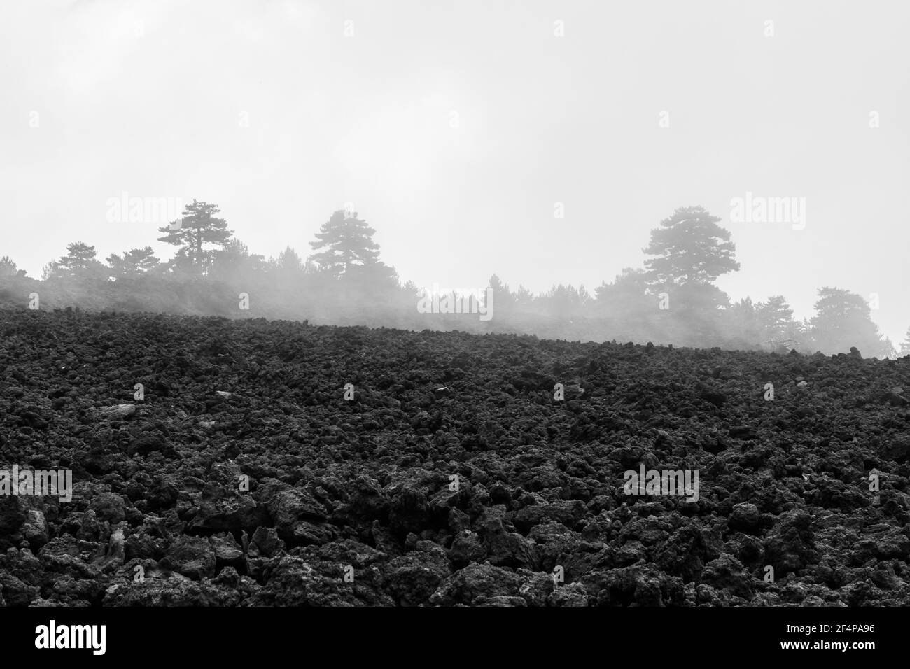 Paesaggio vulcanico in una giornata foggosa, Etna, Italia Foto Stock