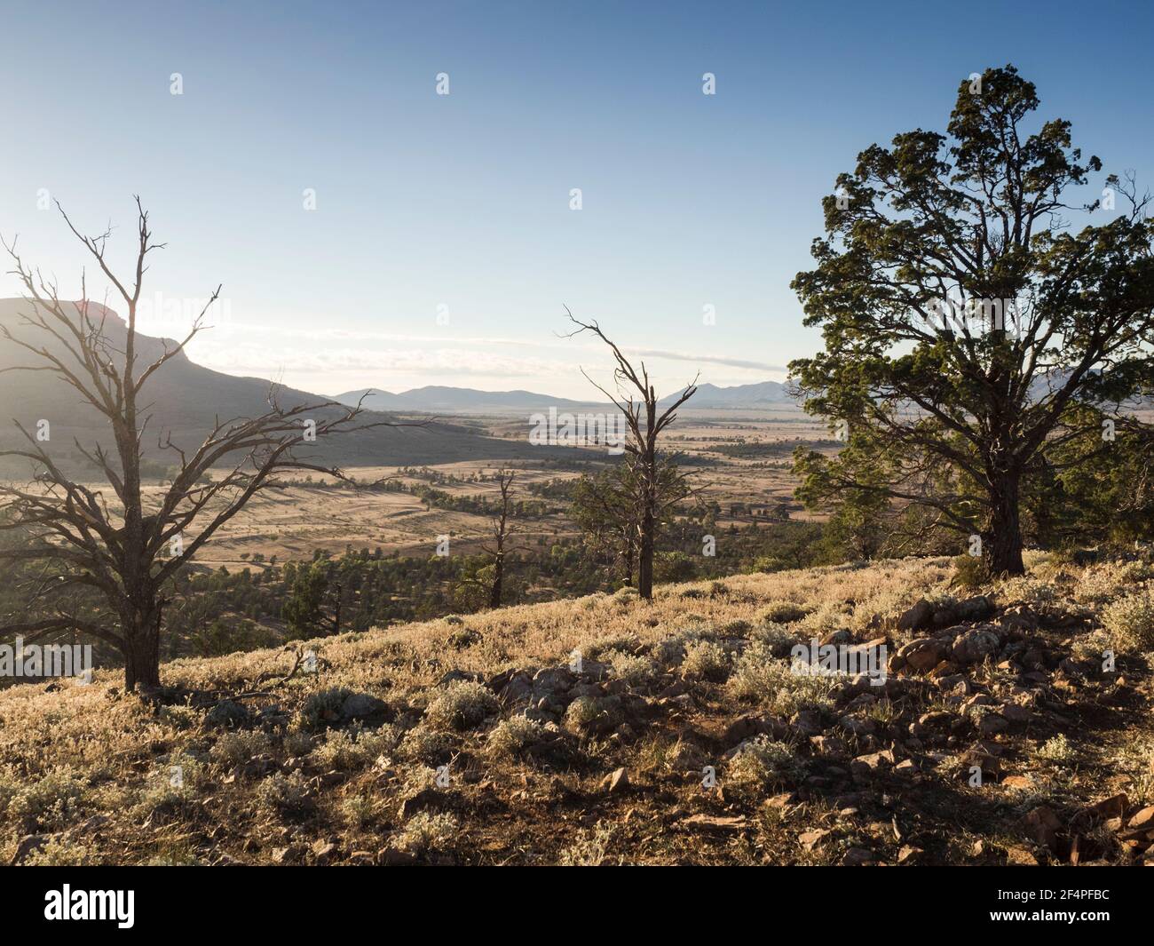 Alba su Rawnsley Bluff (960 m), Flinders Ranges, Australia del Sud Foto Stock