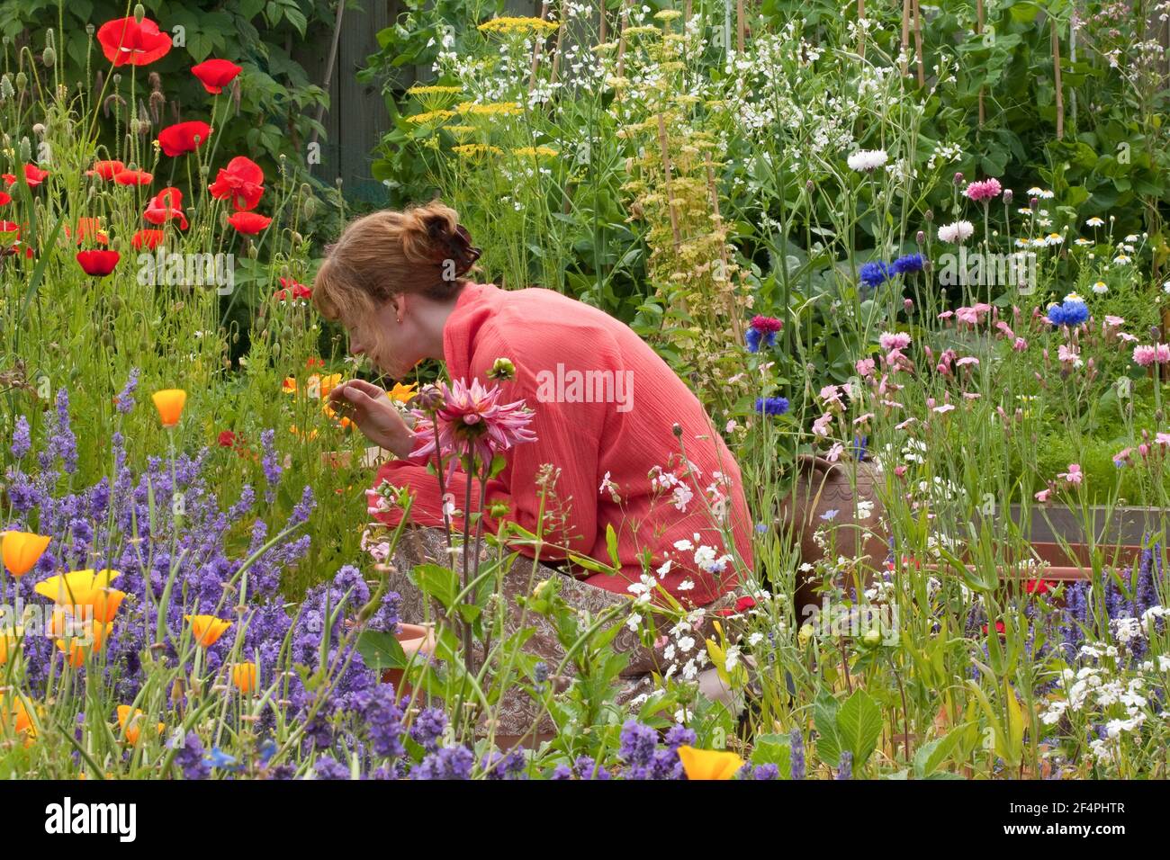 Primo piano di stile cottage sensoriale giardino riempito con fiori estivi e profilo vista di giovane donna inginocchiato giù fiore profumato. Foto Stock