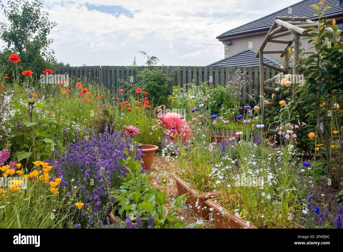 Vista del grazioso giardino in stile cottage sensoriale pieno di fiori estivi e giovane donna che si inginocchiano giù fiore profumato. Foto Stock