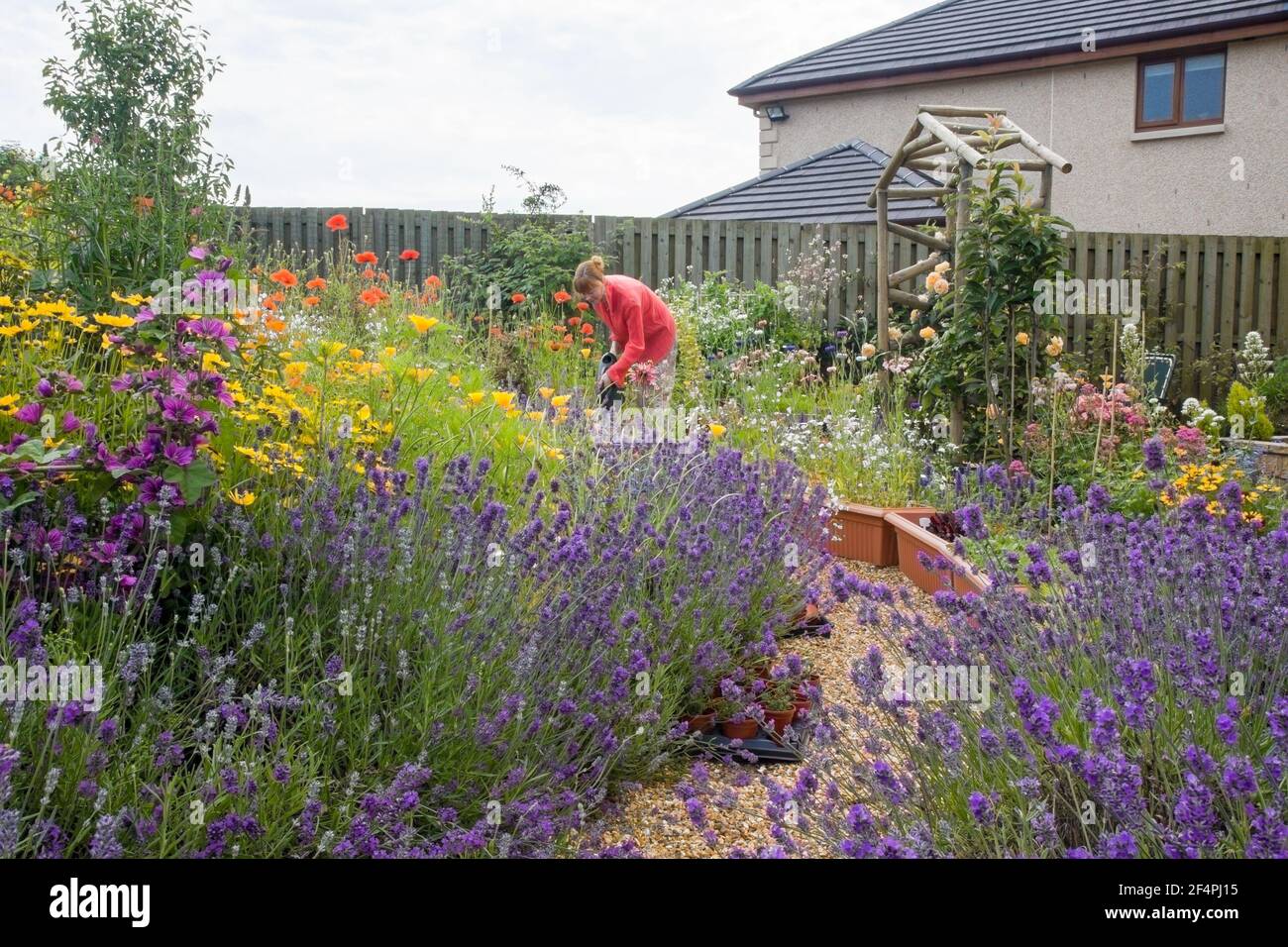Vista del grazioso giardino in stile cottage sensoriale pieno di fiori estivi e giovane donna che si piega su fiore annaffiante. Foto Stock