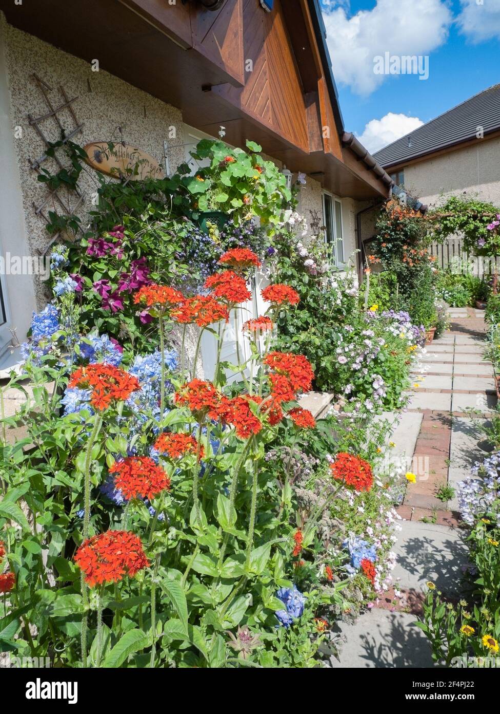 Grazioso giardino cottage percorso in estate con fiori colorati che si riversano sul percorso. Foto Stock
