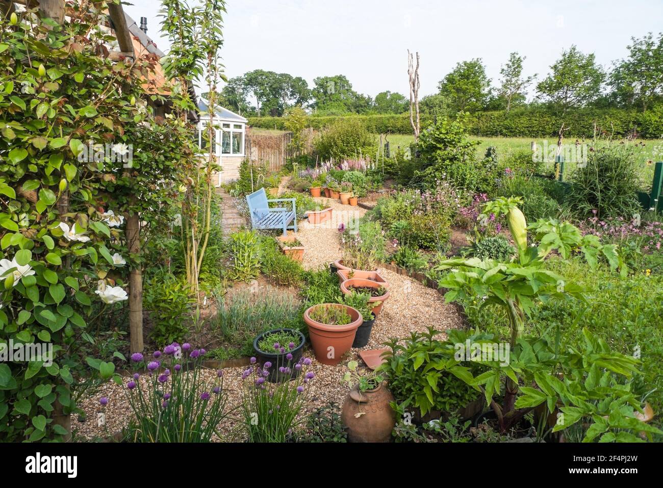 Vista del giardino privato cottage in primavera con nuova crescita e panca giardino blu e percorso tortuoso. Foto Stock