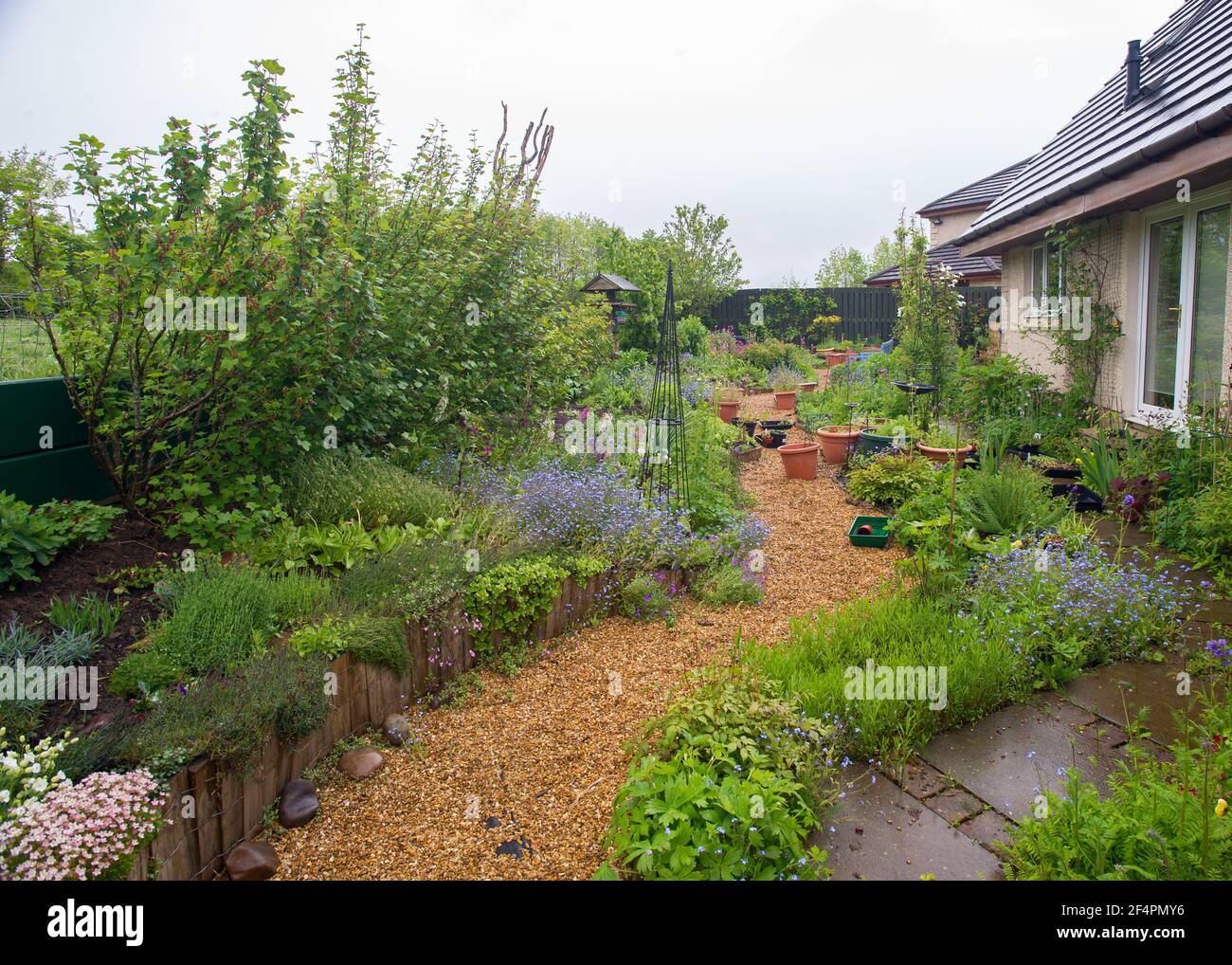 Un grazioso e colorato primo piano di un cottage inglese privato stile bordo giardino estivo in piena fioritura con fiori che traboccano sul percorso. Foto Stock