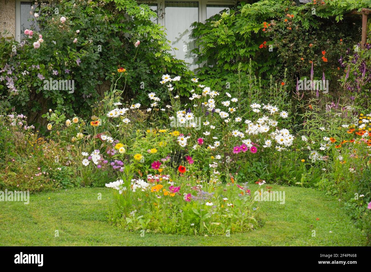 Un grazioso e colorato closeup di un cottage inglese privato stile bordo giardino estivo in piena fioritura con il prato in primo piano. Foto Stock