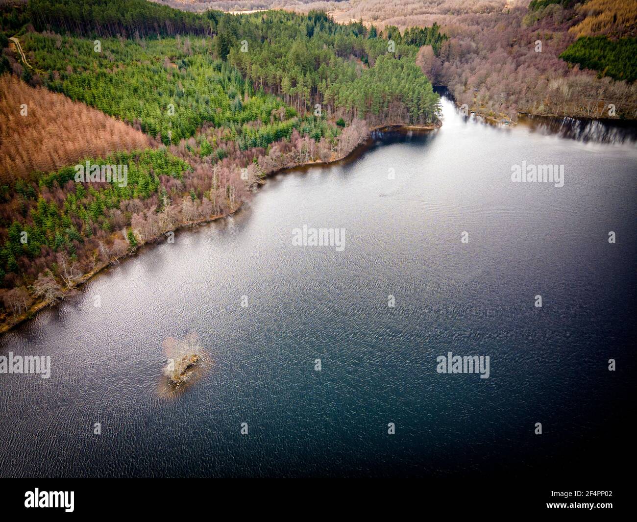 Loch Achilty, vicino a Contin, a Ross-Shire ed è davvero molto bella Wee Crannog (l'isola in basso a sinistra della cornice). Mi piace Crannogs - lo ero Foto Stock